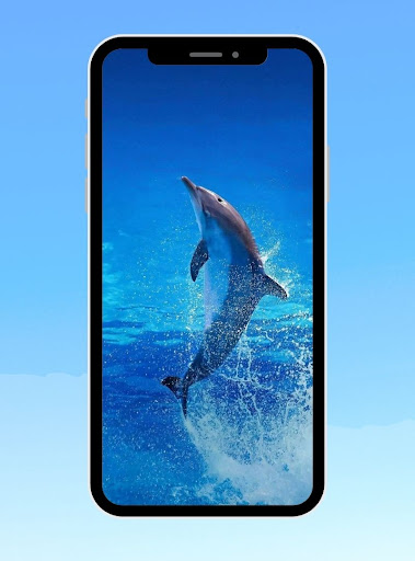 whale and dolphin Wallpaper Screen 3