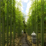 Bamboo Forest Lane Trial icon