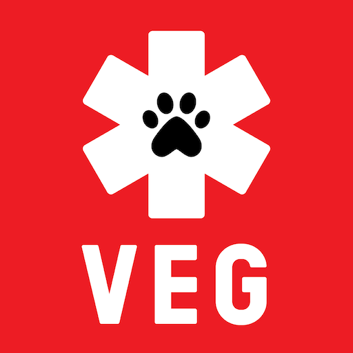 VEG Ambassador Connect logo