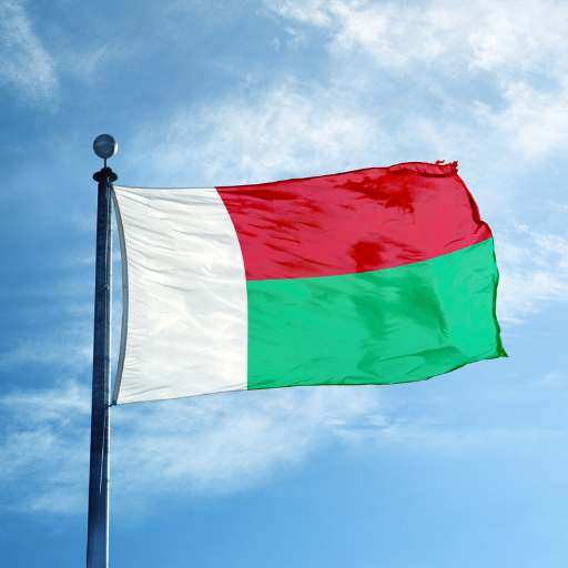 Madagascar flag logo