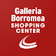 Galleria Borromea Style App Download on Windows