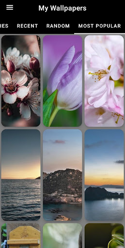 Android application My Wallpapers screenshort