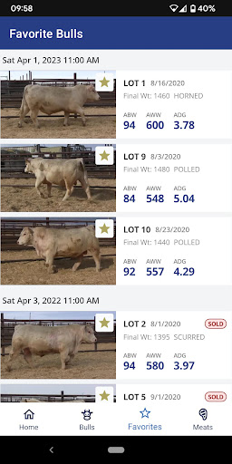 DeBruycker Charolais Screen 3