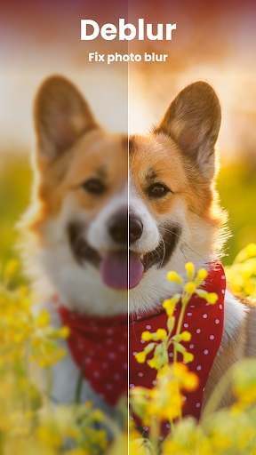 Enhance it - AI Photo Editor - Photography - apps