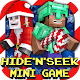 Hide N Seek : Mini Game