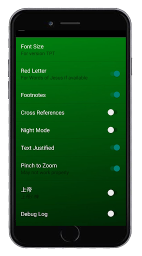 Bible AMP Screenshot