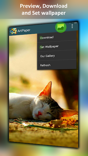 Art-Paper beautiful wallpapers Screen 2