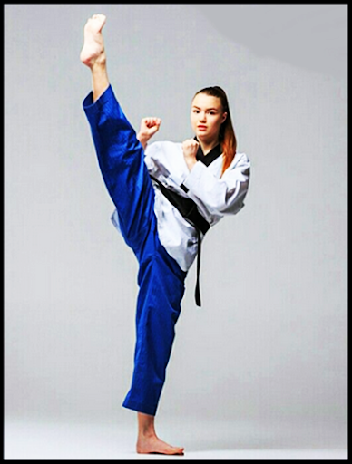 Android application Learn Taekwondo screenshort
