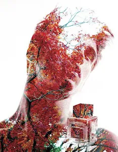 Photo Blending Effect Unknown