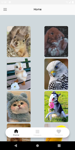 Android application Cute Animal Wallpapers screenshort