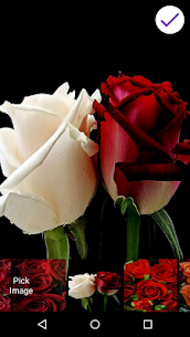 Roses Lock Screen For PC installation