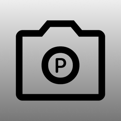 Parking Camera