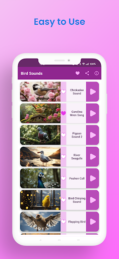 Bird Sounds & Bird Calls Screen 3