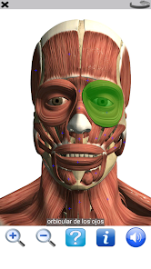 Screenshot 5 Visual Anatomy Lite android