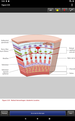 Atlas of Emergency Medicine 5E Screenshot