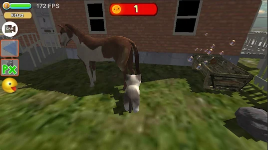 Cat Simulator : kitty can ride