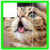cat puzzle icon