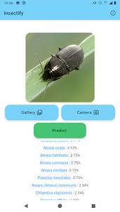 Insectify : Identify Beetles