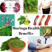 MORINGA HEALTH BENEFITS - THE MIRACLE TREE  Icon