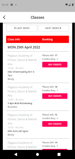 Pegasus Studio Screen 3