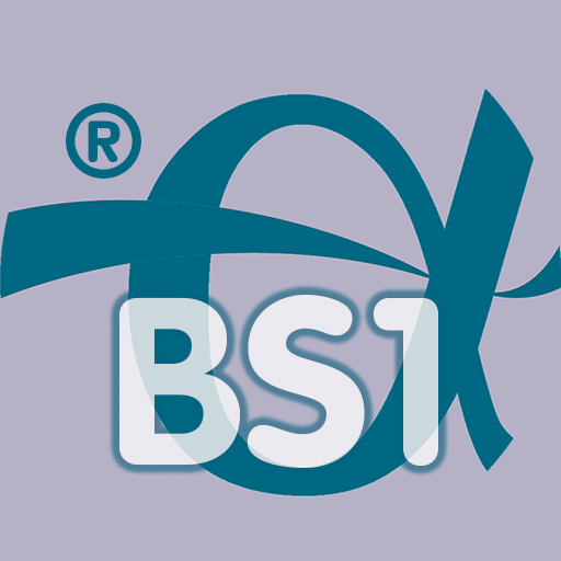Englisch - Business 1 - BS1 logo