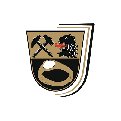 Ainring logo