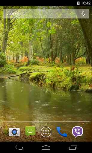 Rain in the forest Video LWP Screen 2