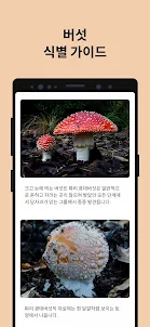 Picture Mushroom - 버섯을 인식
