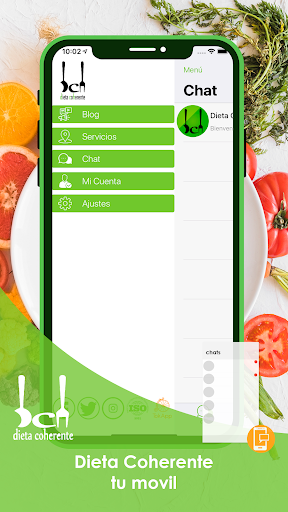 Aperçu de l'application