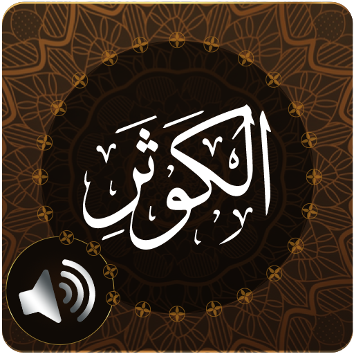 Qora mushukning surati