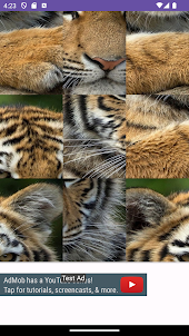 Cute Tiger Puzzle