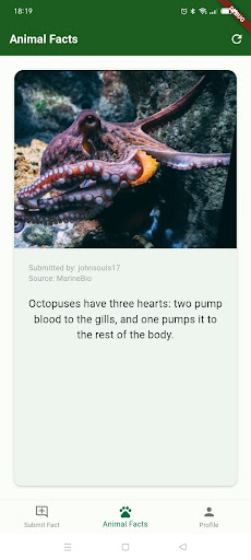 Animal Facts App Screen 3