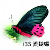 i35 Love Butterfly icon