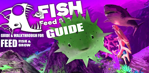 Complete Feed Fish and Grow Guide