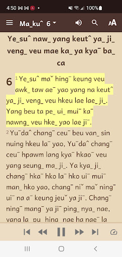 Pyen Bible Screen 3