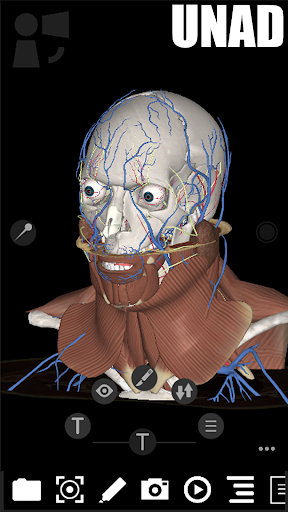 3Dissect Head & Neck UNAD Screen 2