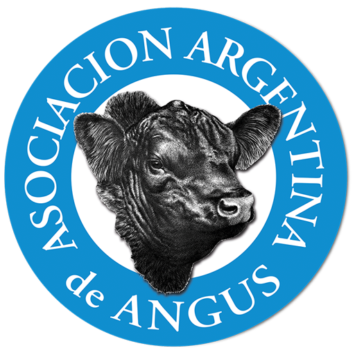 Asociación Argentina de Angus 3.1 Icon