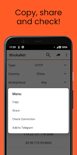 BlockaNet: Proxy List screenshot 3