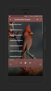 Cardinal Bird Sound