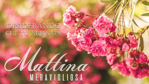 Android application Italian Morning Night Greeting screenshort