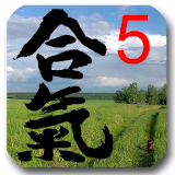 Aikido Test 5 kyu icon