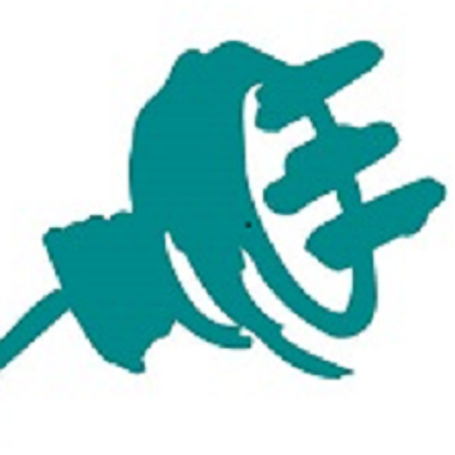 Baumann Elektro AG logo