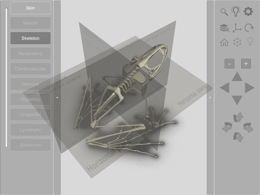 3D Frog Skeleton screenshot 12