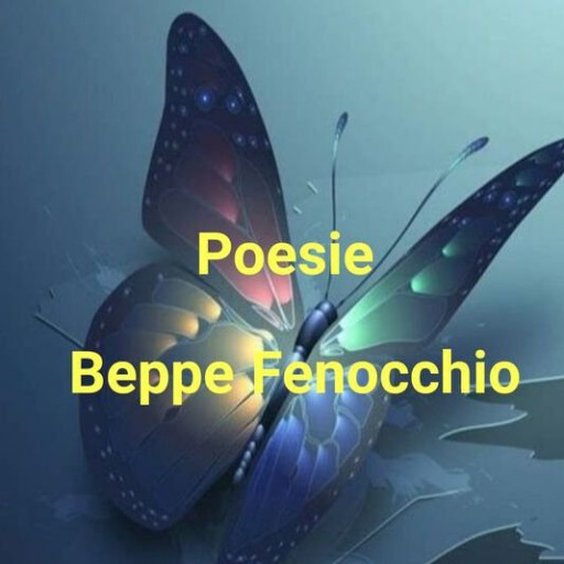 Beppe Fenocchio logo