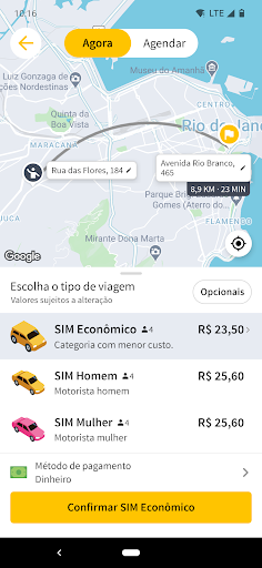 SIM Passageiro Screen 3