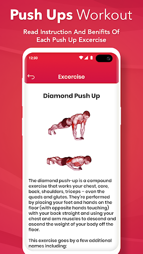 Push Ups Workout Home Workout