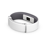 Cover Image of Download SmartBand 2 SWR12 2.1.31 APK