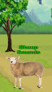 Sheep Animal Sound Game Sim 3d