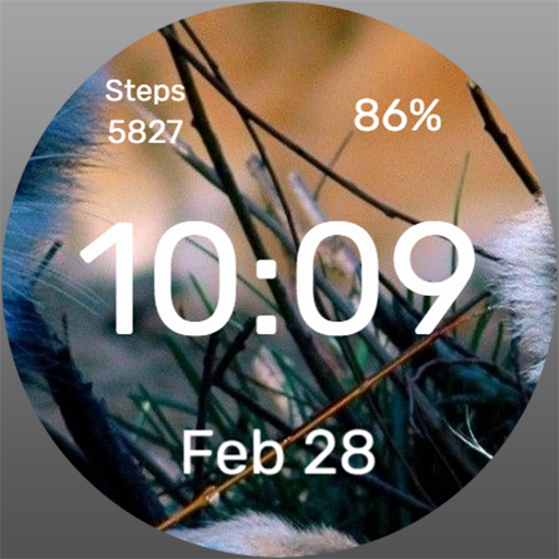 Nature Macro - Watch Face Download on Windows