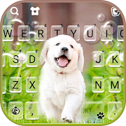 Cute Lab Puppy Keyboard Background  Icon